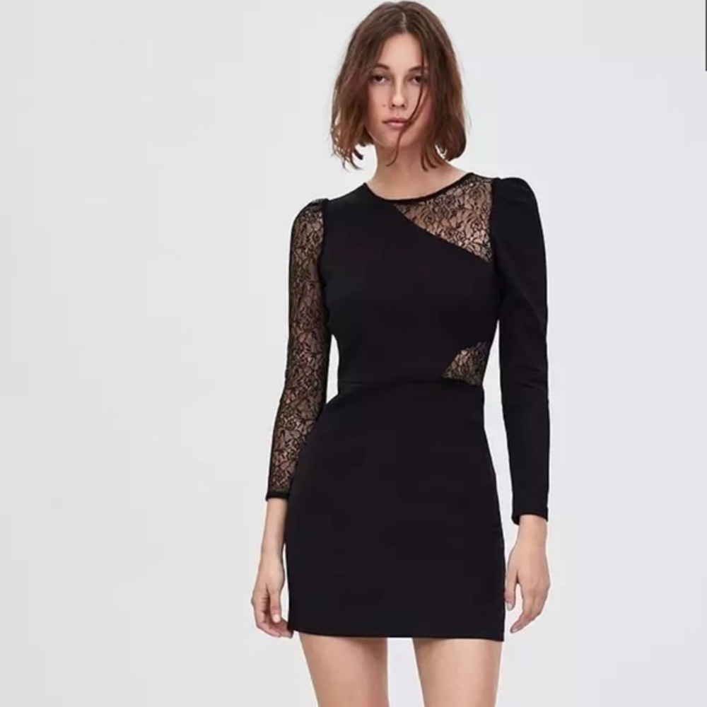 🔥HP🔥HOT🔥 Zara Contrast Lace Dress✨